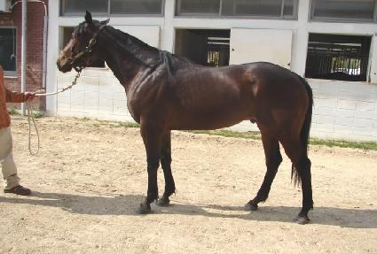 ������ǳ ����