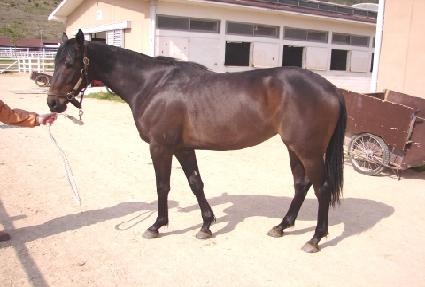 �����ö�� ����