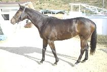 ������ (SEOKJIBONG) ����