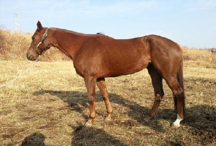 �������� ����