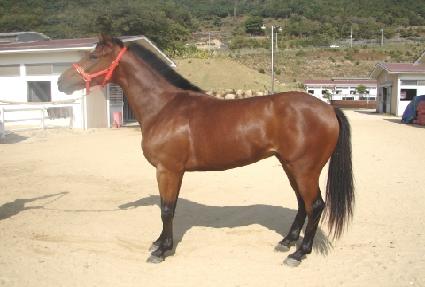 ��������� ����