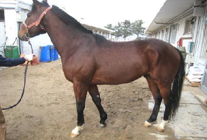 �屺�� ����