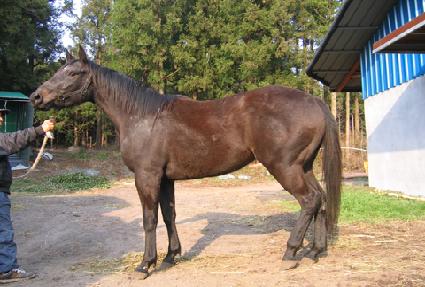 ��Ŀũ ����