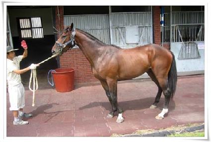 �������� ����