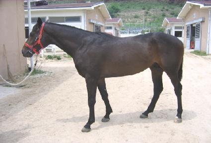 �ܵ���� ����