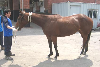 ���۷θ� ����