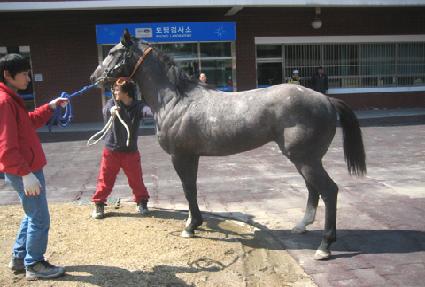 �׷����ǹ� ����