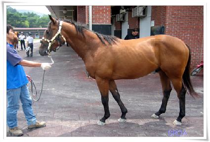 ����ƮȦ�� ����