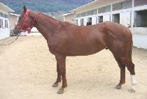 ��ǳ�뵵 (GWANGPUNG NODO) ����