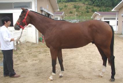 �̽�����ũ ����