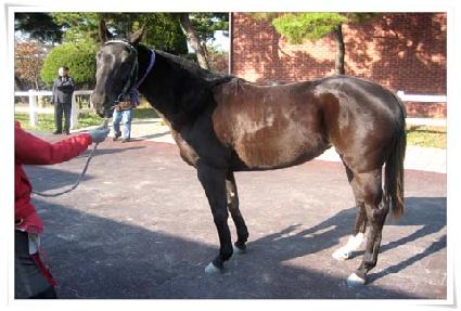 �������� ����