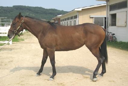 õ��ó�� ����