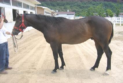 ��� ����