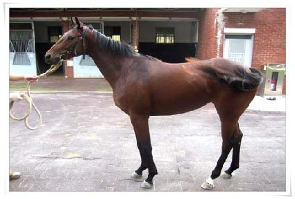 �¾��ǿ��� ����