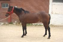 �̽��͸����� (MISTER MASTER) ����