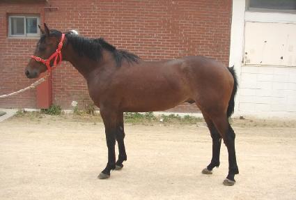 �̽��͸����� ����