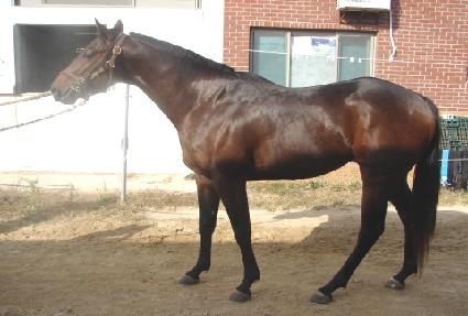 ��ٿ��� ����