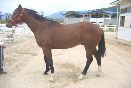 ������� ����