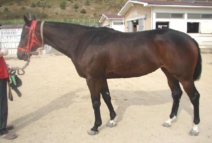 �䵵�� ����