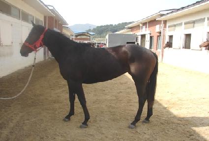 ���ο�ȣ�� ����