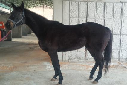 ĵ����� ����