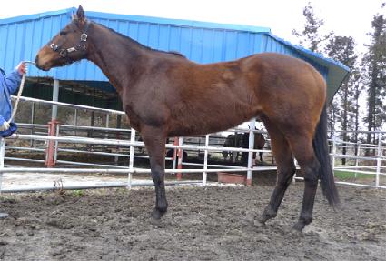 ������� ����