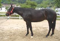 ������� (WORLD MYEONGJANG) ����