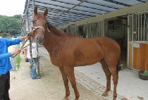 �ٽó���ũ�ڸ� ����