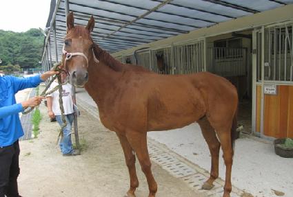 �ٽó���ũ�ڸ� ����