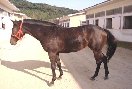 �ݺ����� ����