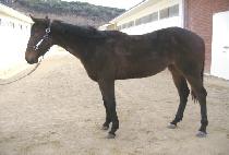 �ݺ��ֿ� (GEUMBIT JUYEOK) ����