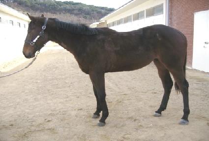 �ݺ��ֿ� ����