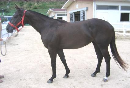 ���ӵ��� ����