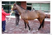 ������ (JOEUNNAL) ����