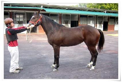 ���� ����