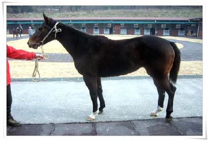 ���귩�ͻ� ����