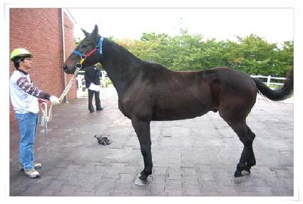 ����ĭ ����