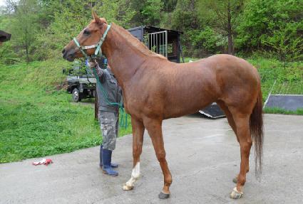 ���丮ķ�� ����