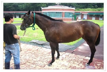 ���� ����