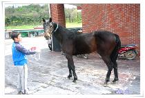 ���µ��� (YEONSEUNGDOJEON) ����