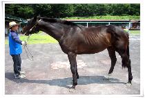 ������Ʋ (RECITLE) ����