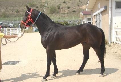 ��â�Ǻ� ����