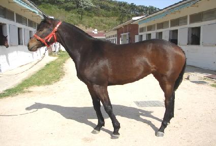 ���� ����