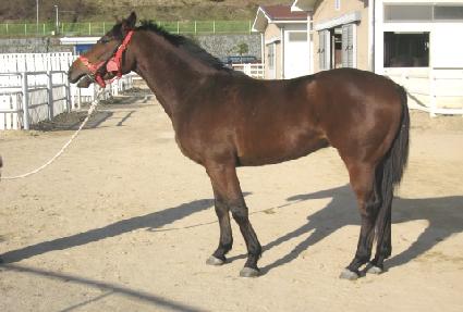 ����Ŭ�� ����