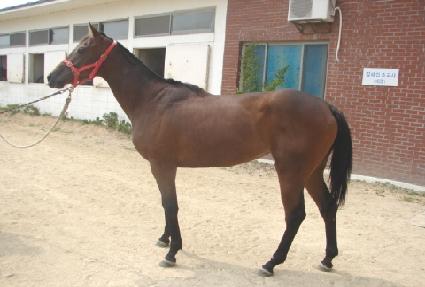 ����Ÿ�� ����