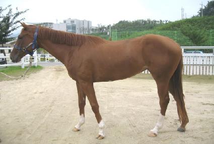 ��ũ���� ����