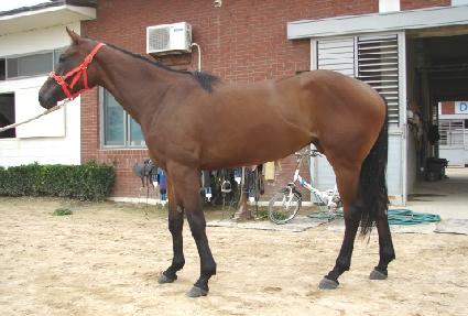 �ǹ��� ����