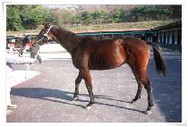 ���ظ��� (BALHAEMYEONGJANG) ����