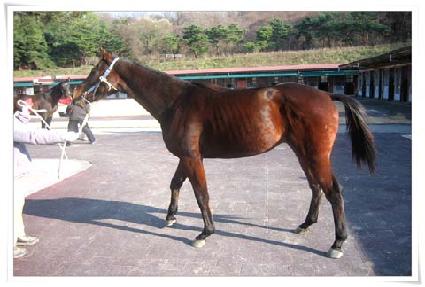 ���ظ��� ����