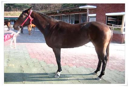 ��籸�� ����